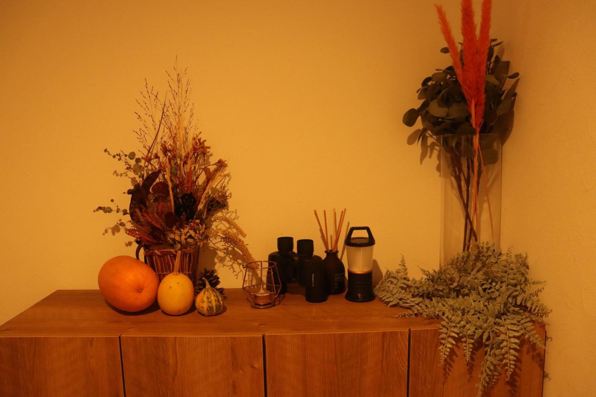 Sauna Forest Cabin 軽井沢 御代田　Mori-Asobi Oiwake Ngoại thất bức ảnh
