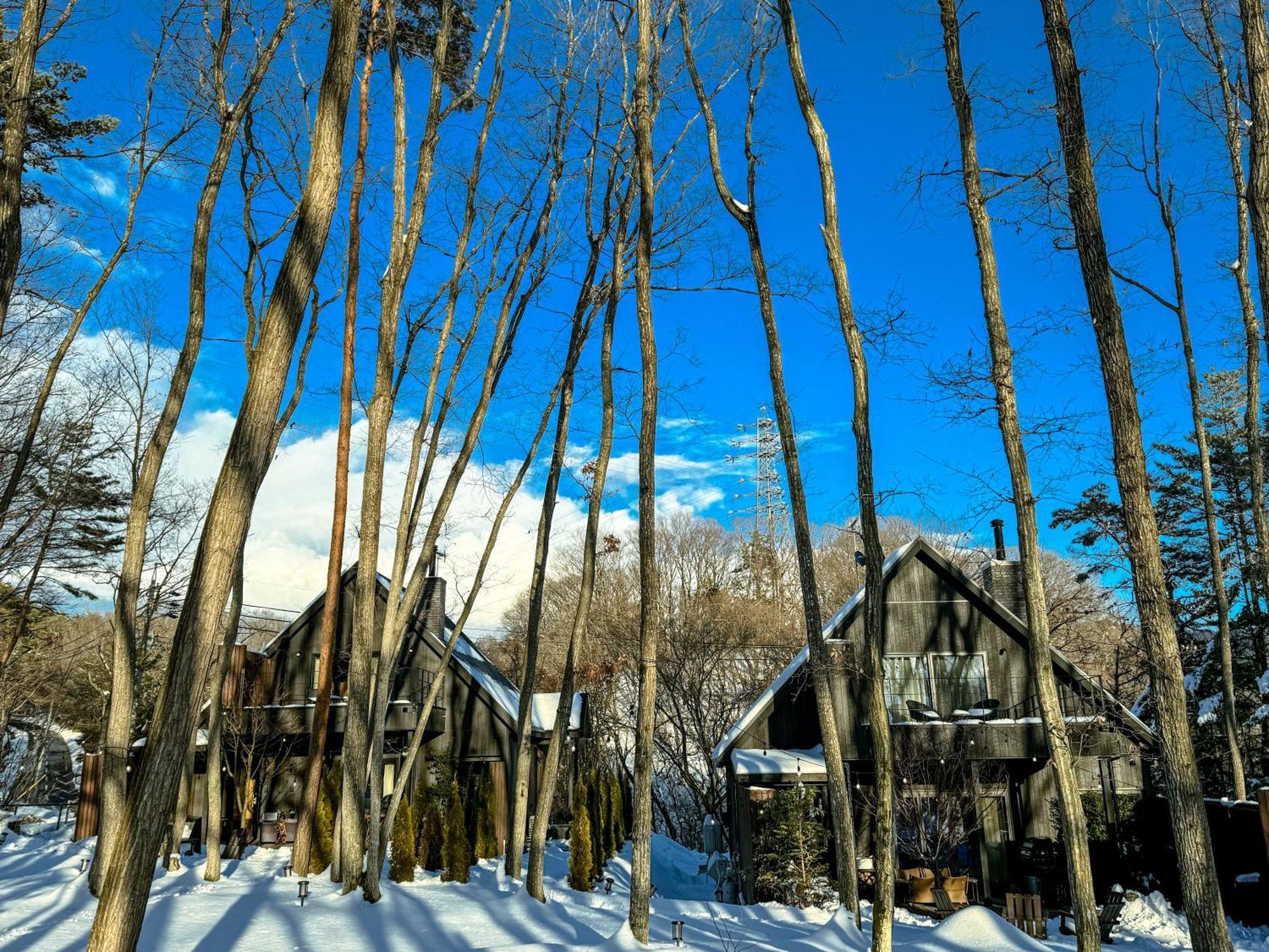 Sauna Forest Cabin 軽井沢 御代田　Mori-Asobi Oiwake Ngoại thất bức ảnh