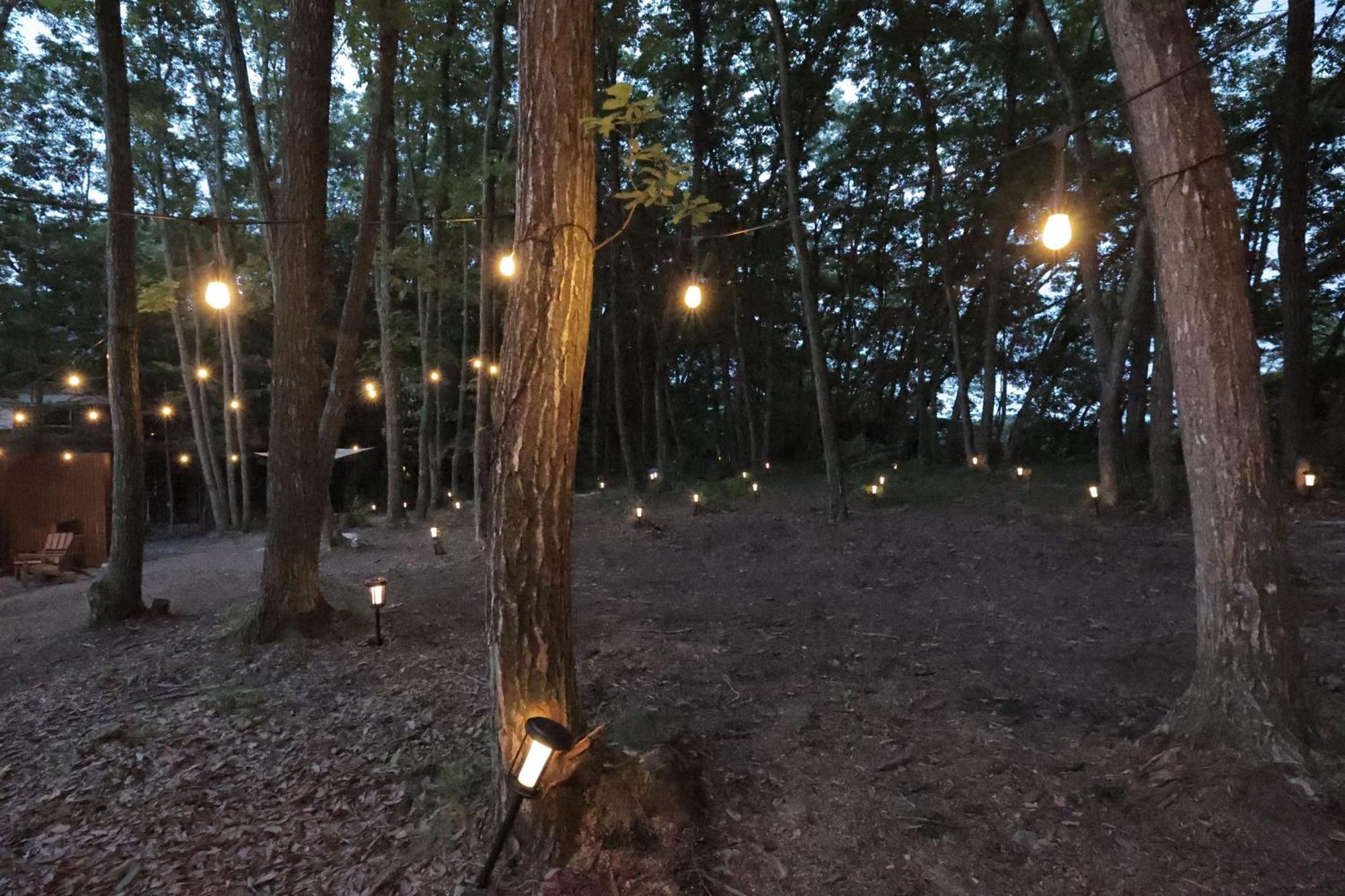 Sauna Forest Cabin 軽井沢 御代田　Mori-Asobi Oiwake Ngoại thất bức ảnh